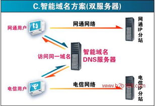 服务器租赁—最适合的种子选择指南