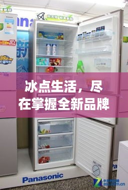 冰点生活，尽在掌握全新品牌电冰箱，开启您的智能保鲜时代！