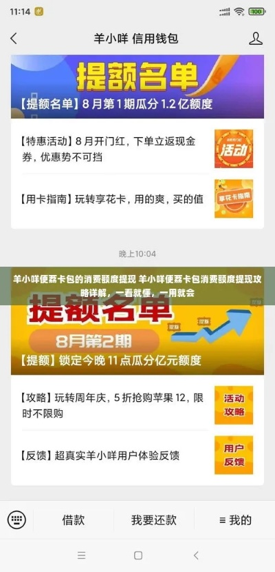羊小咩便荔卡提现余额宝操作指南