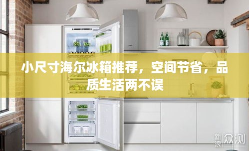 小尺寸海尔冰箱推荐，空间节省，品质生活两不误
