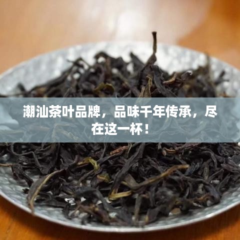 潮汕茶叶品牌，品味千年传承，尽在这一杯！