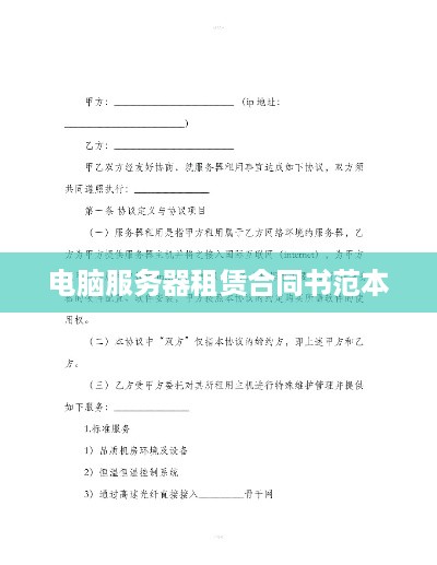 电脑服务器租赁合同书范本