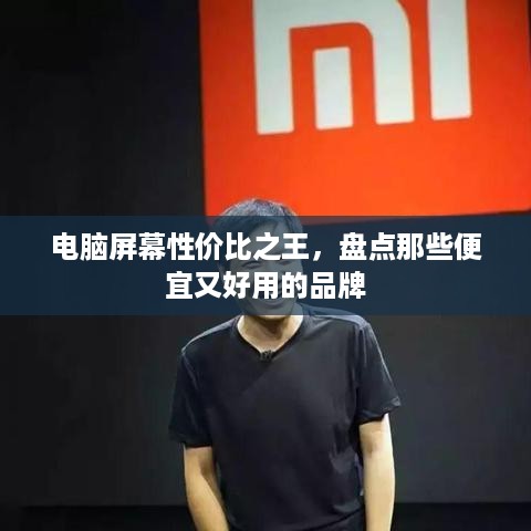 电脑屏幕性价比之王，盘点那些便宜又好用的品牌
