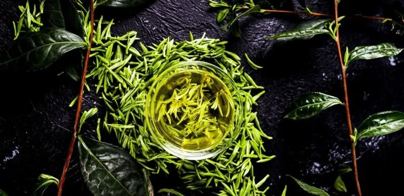 揭秘顶级毛尖茶叶品牌，品味茶香中的高端生活