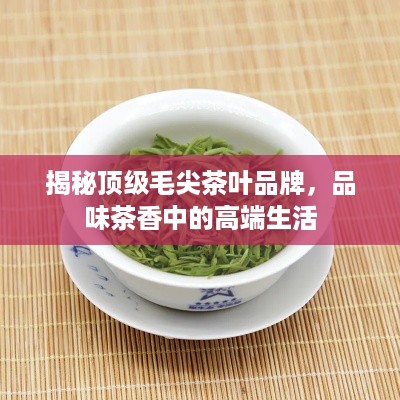 揭秘顶级毛尖茶叶品牌，品味茶香中的高端生活