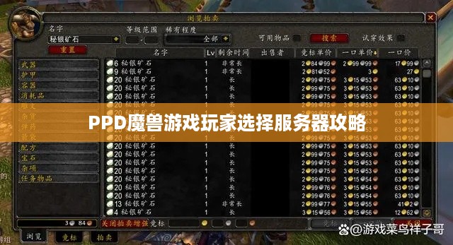 PPD魔兽游戏玩家选择服务器攻略