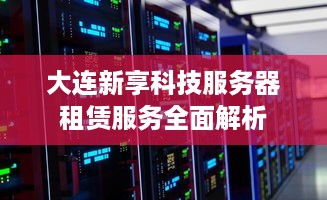 大连新享科技服务器租赁服务全面解析