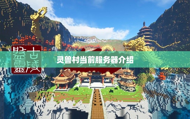 灵兽村当前服务器介绍