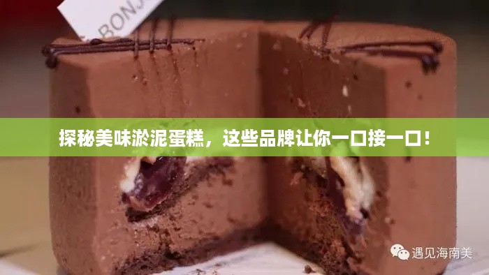 探秘美味淤泥蛋糕，这些品牌让你一口接一口！