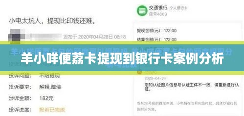 羊小咩便荔卡提现到银行卡案例分析