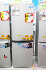 物美价廉的大容量冰箱推荐，让你的储鲜生活更轻松！