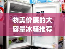 物美价廉的大容量冰箱推荐，让你的储鲜生活更轻松！