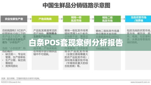 白条POS套现案例分析报告