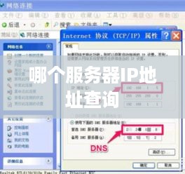 哪个服务器IP地址查询