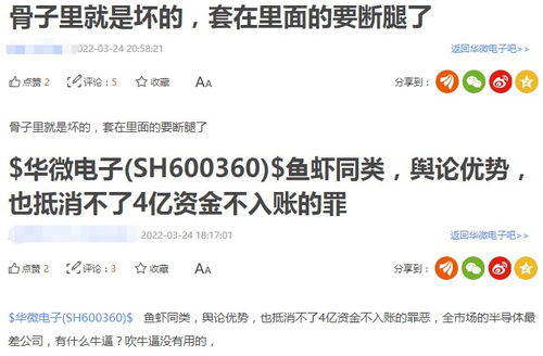 哪个服务器不用身份证登陆？揭秘无身份证也能畅游网络世界
