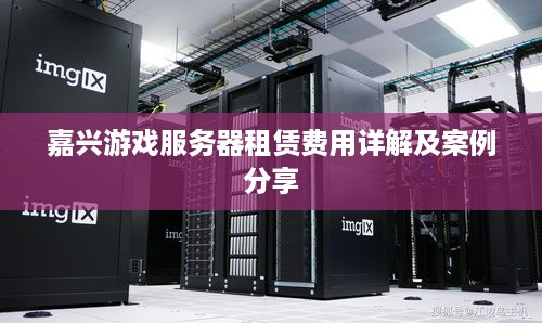 嘉兴游戏服务器租赁费用详解及案例分享