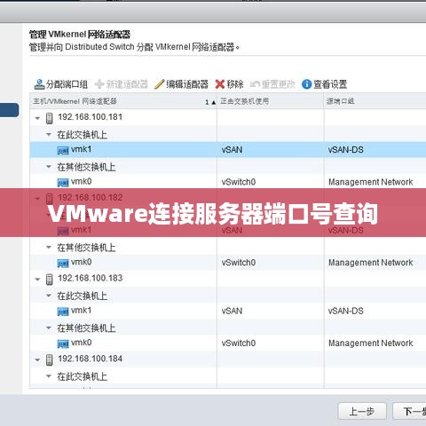 VMware连接服务器端口号查询