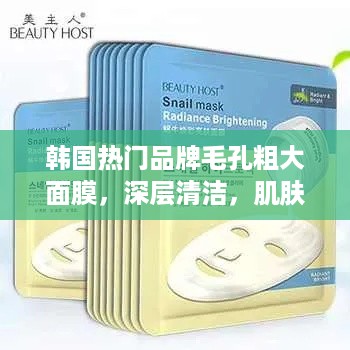 韩国热门品牌毛孔粗大面膜，深层清洁，肌肤焕新！