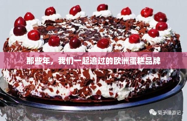 那些年，我们一起追过的欧洲蛋糕品牌