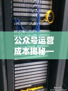 公众号运营成本揭秘—服务器租赁费用高吗？