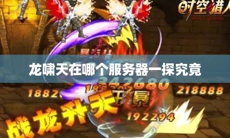 龙啸天在哪个服务器一探究竟