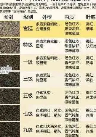 一图看懂各品牌茶叶口感大不同