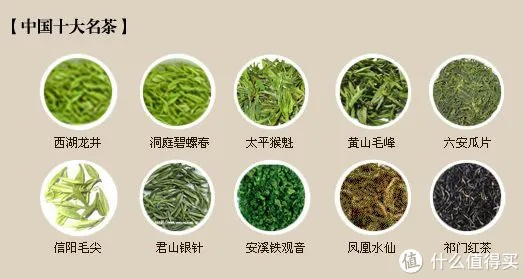 一图看懂各品牌茶叶口感大不同