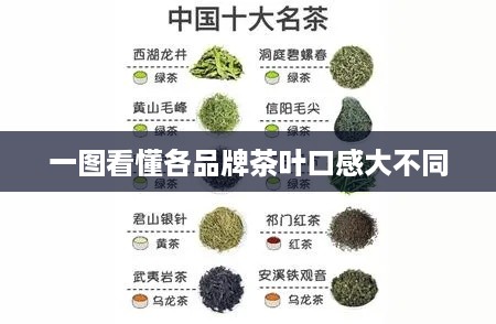 一图看懂各品牌茶叶口感大不同