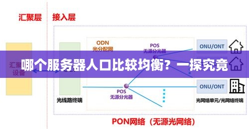 哪个服务器人口比较均衡？一探究竟