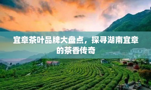 宜章茶叶品牌大盘点，探寻湖南宜章的茶香传奇