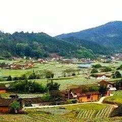 茶香四溢，品味人生—探寻茶叶品牌的独特魅力