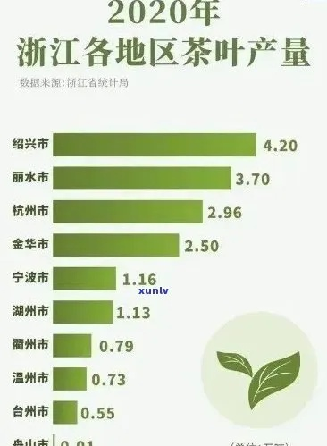 杭州茶叶品牌实力盘点，谁才是茶界黑马？