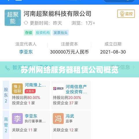 苏州网络服务器租赁公司概览