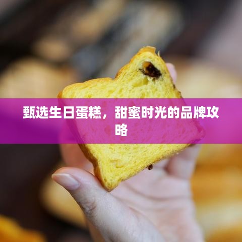 甄选生日蛋糕，甜蜜时光的品牌攻略