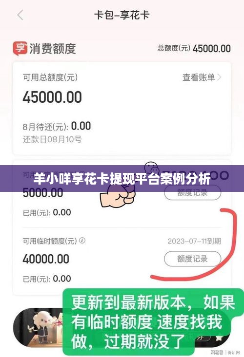 羊小咩享花卡提现平台案例分析