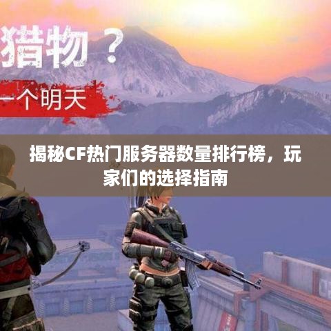 揭秘CF热门服务器数量排行榜，玩家们的选择指南