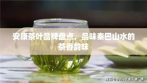 安康茶叶品牌盘点，品味秦巴山水的茶香韵味