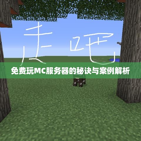 免费玩MC服务器的秘诀与案例解析