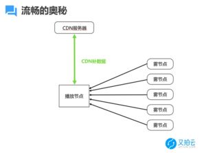 网络服务器租赁费用解析，成本与选择指南