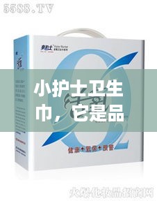 小护士卫生巾，它是品牌吗？揭秘其市场地位与消费者评价