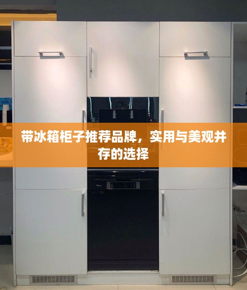 带冰箱柜子推荐品牌，实用与美观并存的选择
