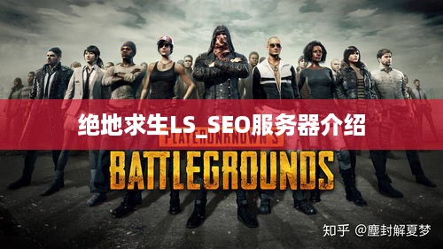 绝地求生LS_SEO服务器介绍