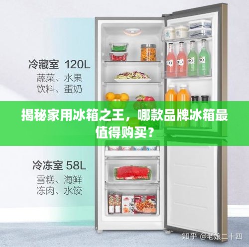 揭秘家用冰箱之王，哪款品牌冰箱最值得购买？