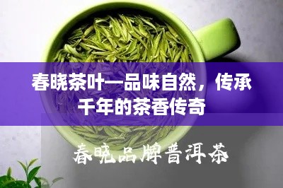 春晓茶叶—品味自然，传承千年的茶香传奇