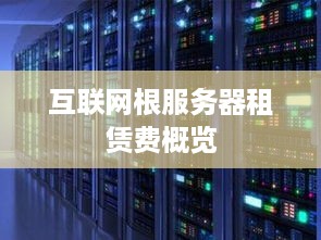 互联网根服务器租赁费概览