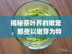 揭秘茶叶界的嫩宠，那些以嫩芽为特色的茶叶品牌