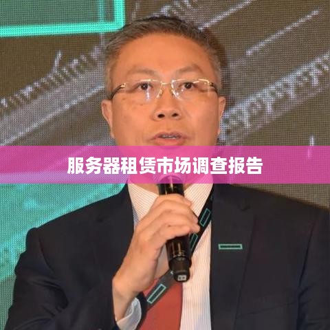 服务器租赁市场调查报告