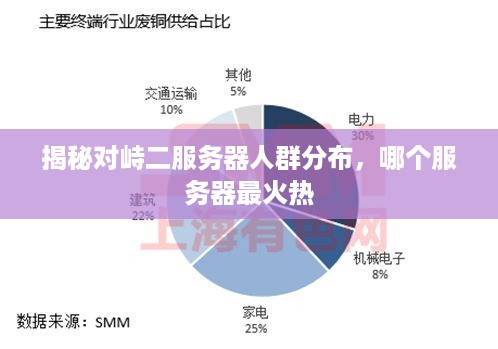 揭秘对峙二服务器人群分布，哪个服务器最火热