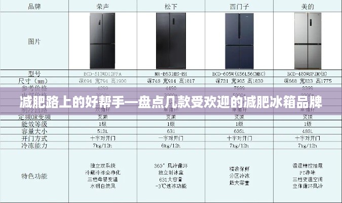 减肥路上的好帮手—盘点几款受欢迎的减肥冰箱品牌