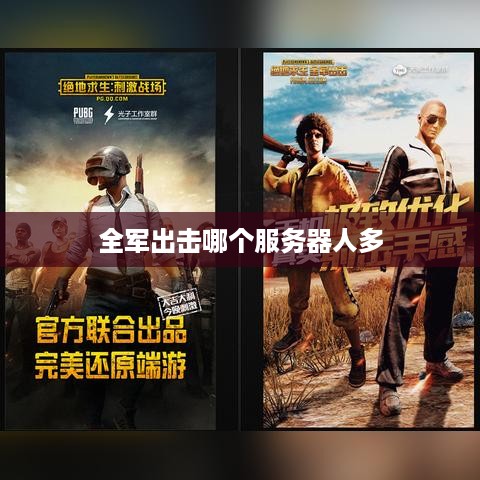 全军出击哪个服务器人多